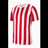 Pánský dres Nike STRIPED DIVISION IV - foto 0