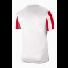 Pánský dres Nike STRIPED DIVISION IV - foto 1