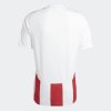Pánský dres adidas STRIPED 24 JSY - foto 2