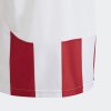Dětský dres adidas STRIPED 24 JSYY - foto 4