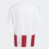 Dětský dres adidas STRIPED 24 JSYY - foto 1