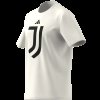 Pánské tričko adidas JUVE DNA GR TEE - foto 16