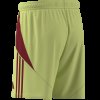 Pánské šortky adidas TIRO24 SHO - foto 14