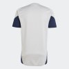 Pánský dres adidas AFC TR JSY - foto 1