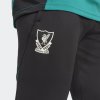 Pánské tepláky adidas LFC EU TR PNT - foto 4