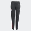 Dětské tepláky adidas OL TR PNT Y - foto 0