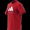 Pánské tričko adidas FCB SZN GR TE2 - foto 13