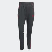Pánské tepláky adidas LFC PRE PNT