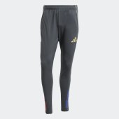 Pánské tepláky adidas OL TR PNT