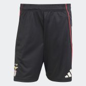 Pánské šortky adidas SLB TR SHO