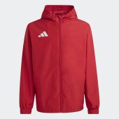 Pánská mikina adidas ENT26 AW JKT