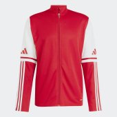 Pánská mikina adidas SQ25 TR JKT