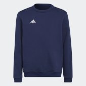Dětská mikina adidas ENT22 SW TOPY