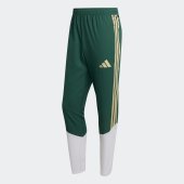Pánské tepláky adidas FIGC PRE PNT