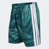 Pánské šortky adidas DFB H GK SHO