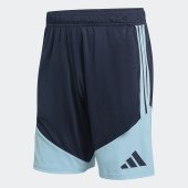 Pánské šortky adidas AFA TR SHO