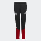 Dětské tepláky adidas DFB TR PNTY