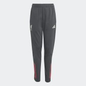 Dětské tepláky adidas LFC TR PNT Y