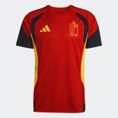 Pánský dres adidas RBFA TR JSY
