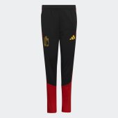 Dětské tepláky adidas RBFA TR PNTY