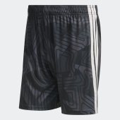 Pánské šortky adidas T26 C GK SHO M