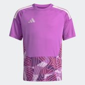 Dětský dres adidas T26 C GK JSY Y