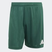 Pánské šortky adidas ENT26 SHO