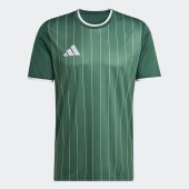 Pánský dres adidas ENT26 GFX JSY