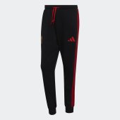 Pánské tepláky adidas RBFA DNA PNT