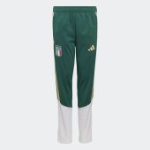 Dětské tepláky adidas FIGC TR PNTY
