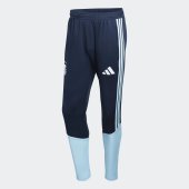 Pánské tepláky adidas AFA TR PNT