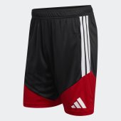 Pánské šortky adidas DFB TR SHO