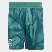 Pánské šortky adidas DFB H GK SHO AU