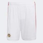 Pánské šortky adidas HFF H SHO