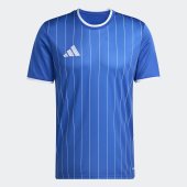 Pánský dres adidas ENT26 GFX JSY