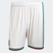 Pánské šortky adidas FAF H SHO