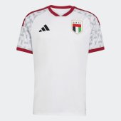 Pánský dres adidas UAE H JSY