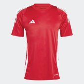 Pánský dres adidas TIRO24 JSY