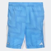 Pánské šortky adidas TECH SHORT Q2