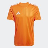 Pánský dres adidas CAMPEON25 JSY M