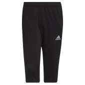 Pánské šortky adidas ENT22 3/4 PNT