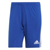 Pánské šortky adidas SQUAD 21 SHO