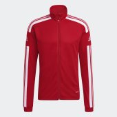 Pánská mikina adidas SQ21 TR JKT