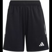 Chlapecké šortky adidas TIRO23L TR SHOY