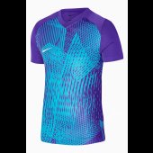 Pánské tričko Nike Dri-FIT Precision 6