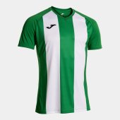 Pánský dres JOMA INTER IV SHORT SLEEVE T-SHIRT GREEN WHITE