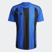Pánský dres adidas STRIPED 24 JSY
