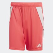 Pánské šortky adidas TIRO24 SHO