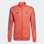 Pánská souprava adidas FCB TK SUIT