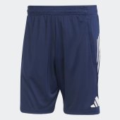Pánské šortky adidas AFC TR SHO